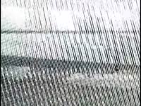 VID20250320160755902.mp4