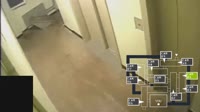 17300299476950.mp4