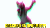 17300299477812.mp4