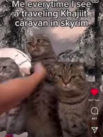 17424751725090.mp4