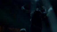 17508374053933.webm