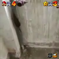 16837767441003.mp4