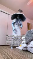 grayoranges.mp4