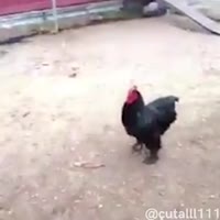 биошок.mp4