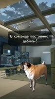 17124742169891.mp4
