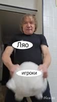17492147142190.mp4