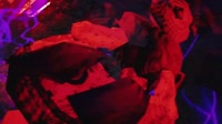 1749427467595.mp4