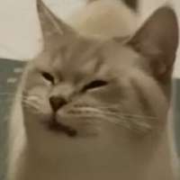 17033550467430.jpg
