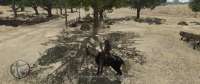 RDR20250611221001859.png