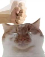 17472461375894.png