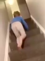 pook.mp4