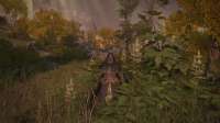 Elden Ring Screenshot 2025.06.15 - 00.51.23.32.png
