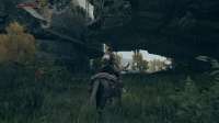 Elden Ring Screenshot 2025.06.17 - 02.34.07.46.png