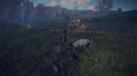 Elden Ring Screenshot 2025.06.17 - 02.55.56.21.png