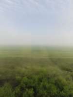 IMG20250511052606.jpg