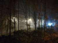 IMG20241025063056.jpg