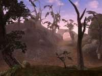 The-Elder-Scrolls-III-Morrowind-Jewel-Game-For-PC-10.jpg