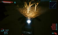 prjct.webm