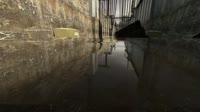 hl23.webm