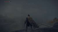 Elden Ring Screenshot 2025.06.19 - 21.46.46.53.png