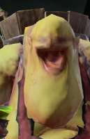 festus =D.png