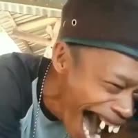17407666904840.mp4