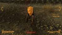 FalloutNV 2025-06-20 16-05-28-191.png