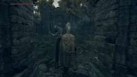 Elden Ring Screenshot 2025.06.20 - 20.47.36.65.png