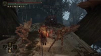 12.mp4