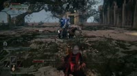 14.mp4