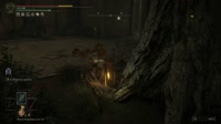 17.mp4