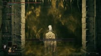Elden Ring 2025.06.22 - 20.16.29.11.DVR-00.01.58.077-00.04.08.065.mp4