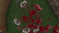 2025-06-22 20-26-26.webm