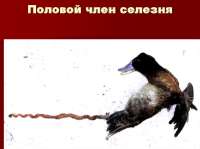 slide-63.jpg