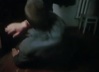 17410124490412462.mp4