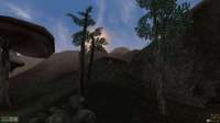 Morrowind 27.04.2025 202427.png