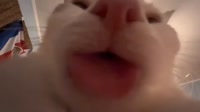 111.mp4