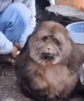01678903409.gif