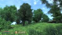 Oblivion 2025-05-07 04-41-21-14.png