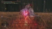 123.mp4