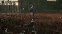 1.mp4