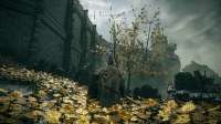 Elden Ring Screenshot 2025.06.23 - 08.57.04.28.png
