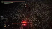 9.mp4