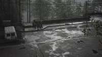 SILENT HILL 2 Screenshot 2025.02.01 - 22.14.18.84.png