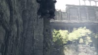 202.mp4