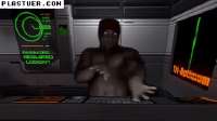 IMG6982.gif