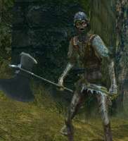 Armoredzombieaxeman (1).jpg