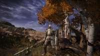 Elden Ring Screenshot 2025.06.30 - 22.21.20.09.png