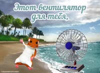 IMG9336.MP4