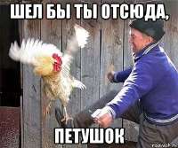 6SfVto0fNDw.jpg